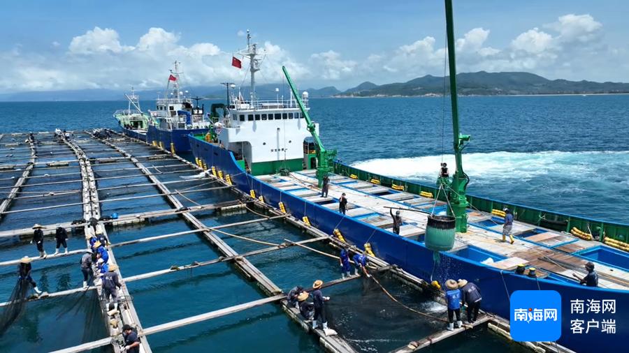 海南农业信息网官网_海南农网信息产品经理招聘_海南农产品信息网