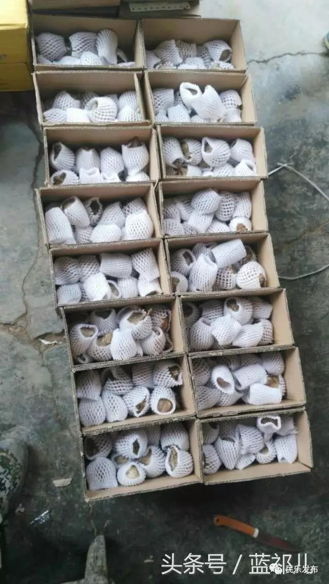 淘宝店卖农产品取什么名字_在淘宝卖农产品_在淘宝卖农产品需要什么条件