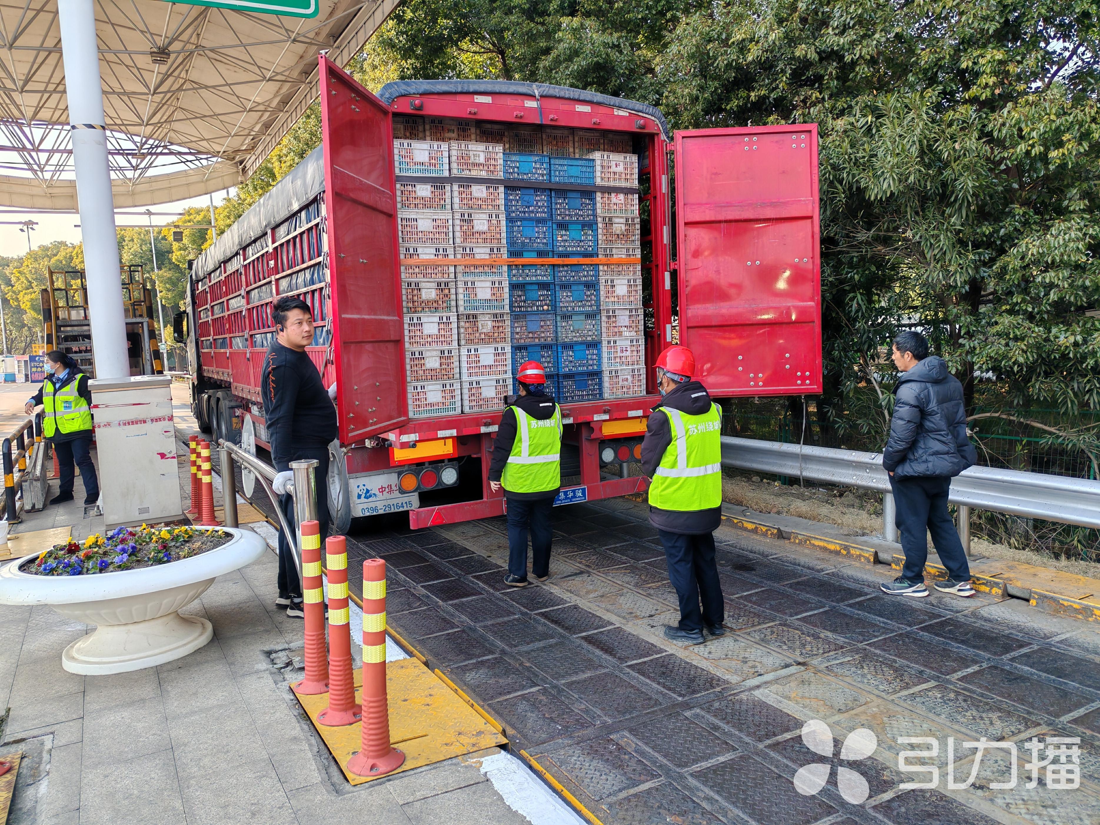 苏州农产品物流园怎么样了_苏州农物流园产品批发市场_苏州农产品物流园