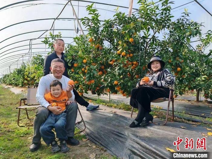 农线交易产品上市企业_农产品线上交易_农线交易产品上市流程