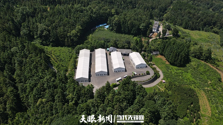 县农产品物流_农产品物流布局_农产品物流中心有哪些功能