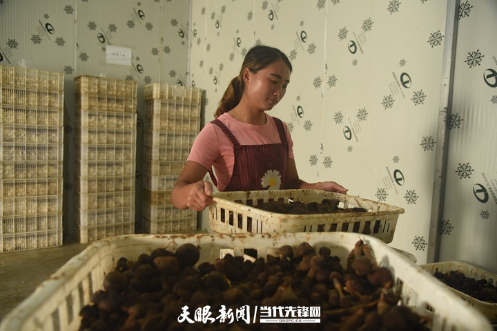 农产品物流布局_农产品物流中心有哪些功能_县农产品物流
