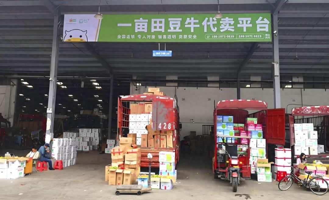 农线交易产品上市流程_农线交易产品上市企业_农产品线上交易