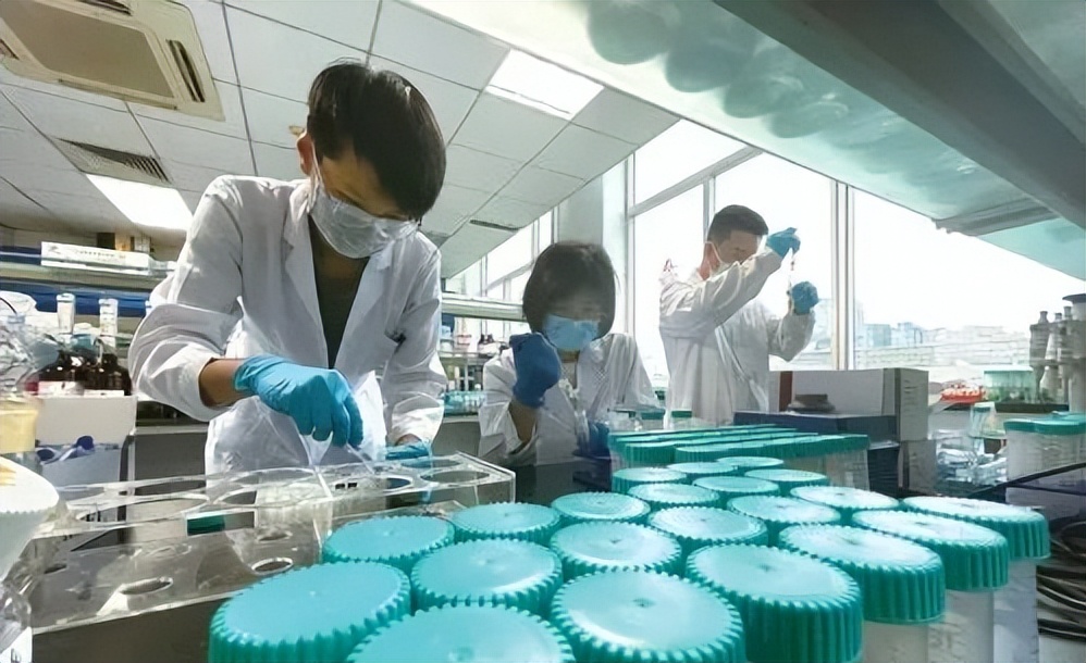 中国 农产品安全_中国农产品安全质量_安全农产品生产的重要意义