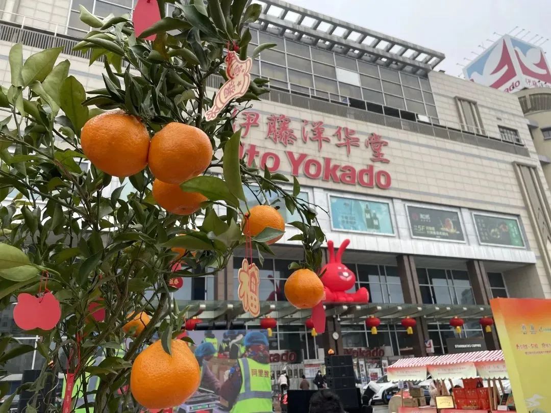 蒲江杂柑农产品地理标志_蒲江杂柑农产品地理标志_蒲江杂柑农产品地理标志