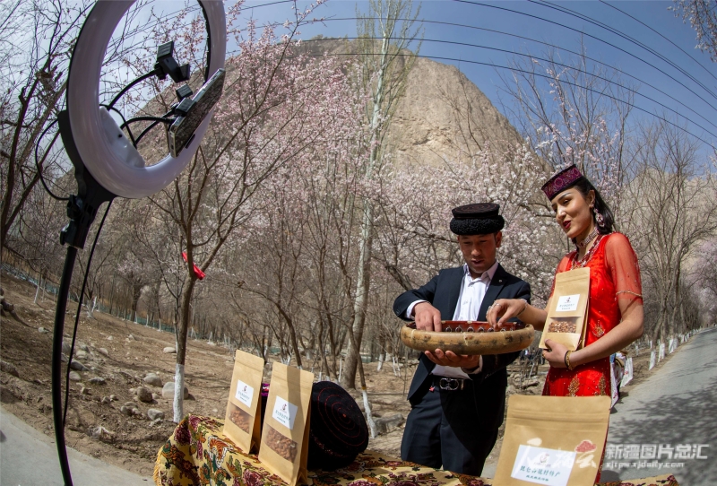 新疆网络零售市场持续增长，特色农副产品通过电商平台销往全国