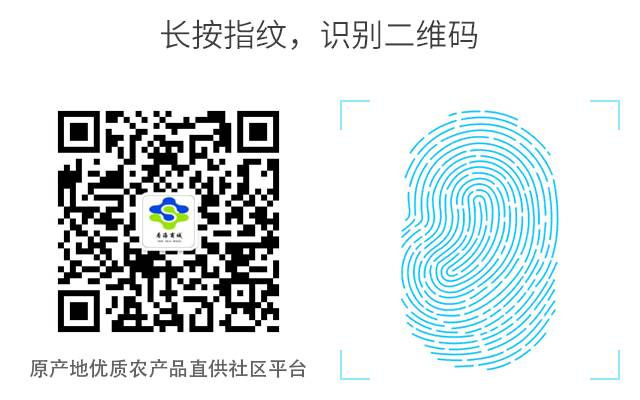 农产品直销商城加盟 山西商平台平遥_如何加盟农家福商网店_康美直销加盟有什么产品