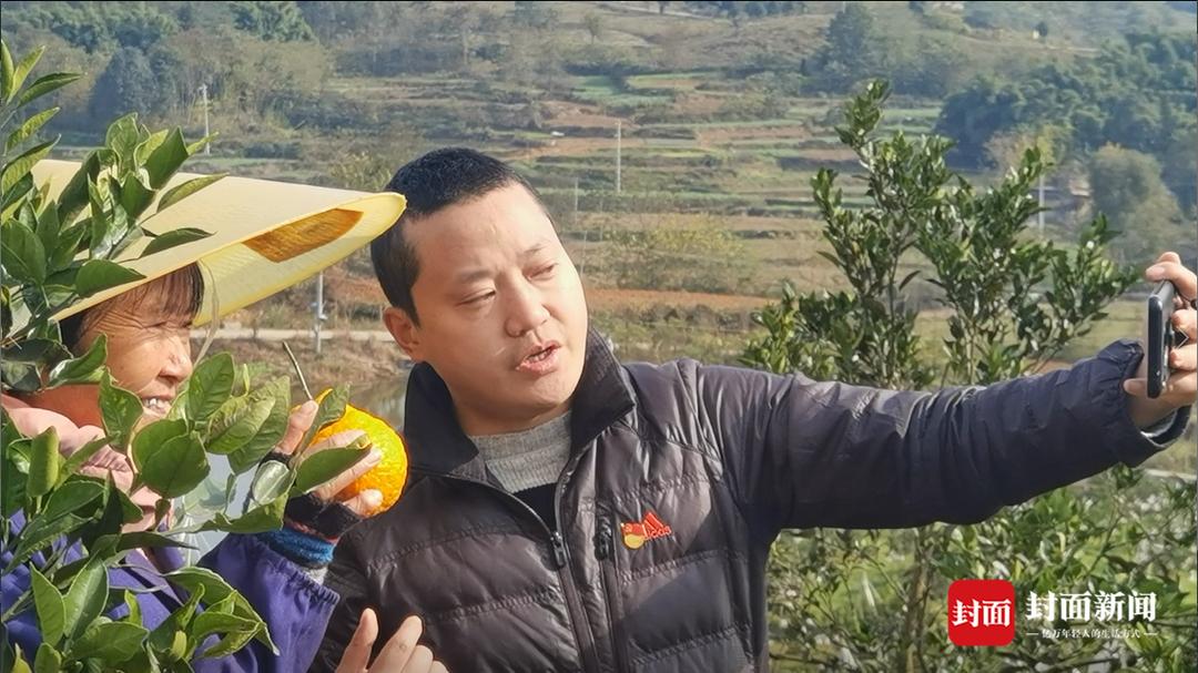 农产品网络销售_利用网络销售农产品_网络营销农产品