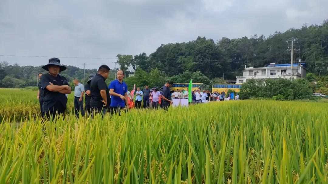 农产品收购合同_农业收购合同_农作物收购合同