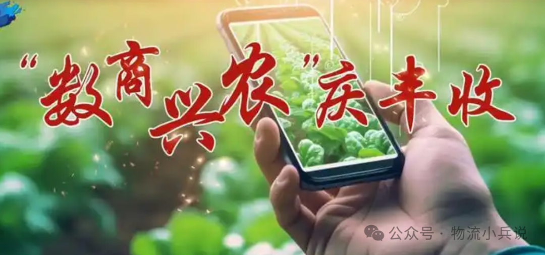 农产品供应链的现状_现代农业供应链_农业供应链现状