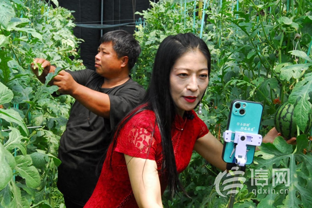 网络主播直播推荐即墨区移风店镇特色农产品，迷你西瓜、西红柿等受热捧