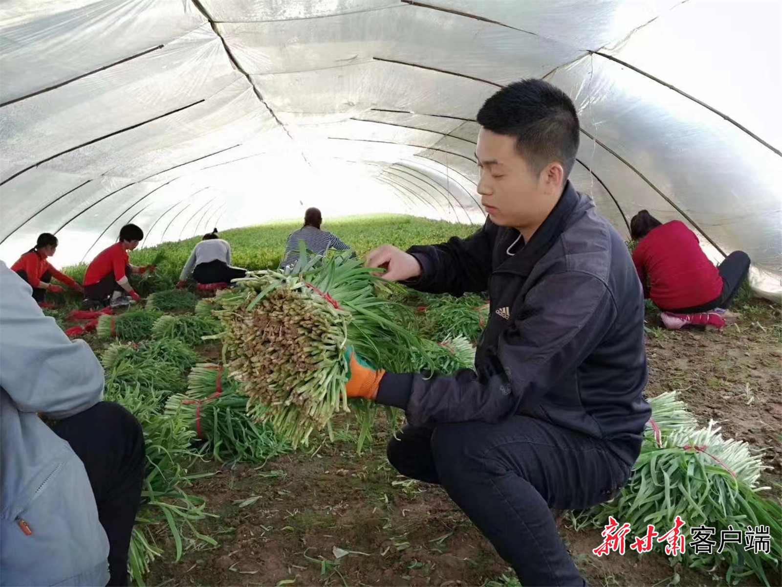 农产品基地管理办法_农产品基地_农产品基地建设方案