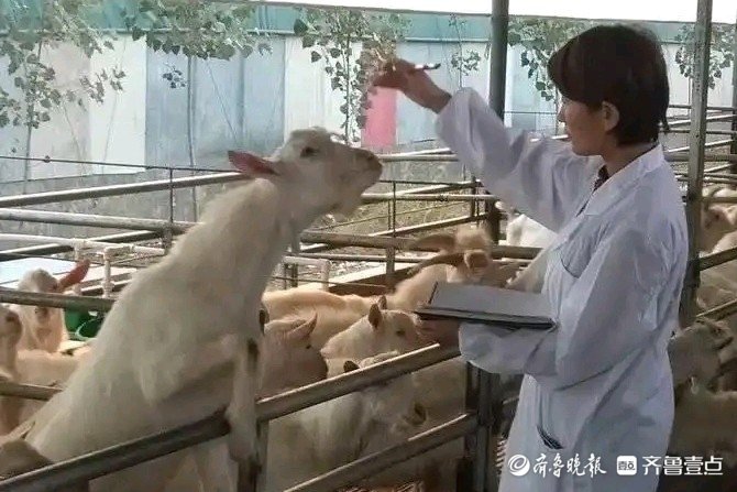富硒农产品有哪些_富硒农业_富硒农产品对人体的好处