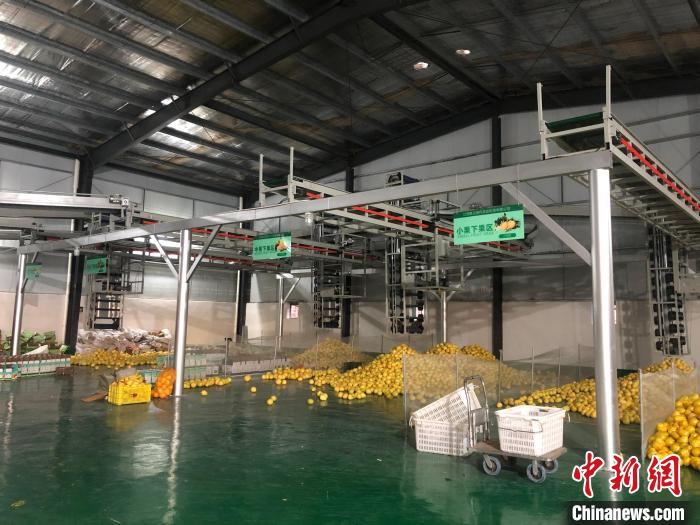 农用富硒_富硒农产品有哪些_富硒农产品是什么意思