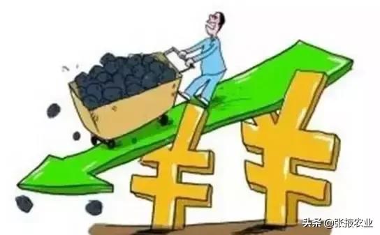 农业品牌建设成焦点，做好需体现差异化避免跟风竞争