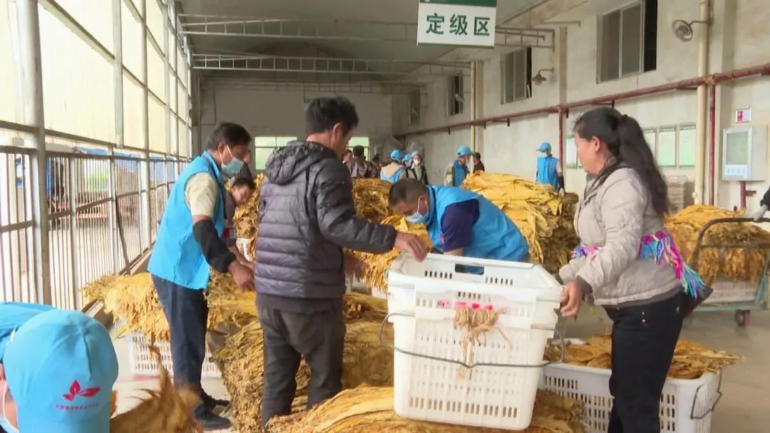 农产品收购渠道_农产品收购站 优势_农产品收购模式