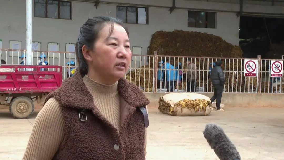 农产品收购模式_农产品收购渠道_农产品收购站 优势