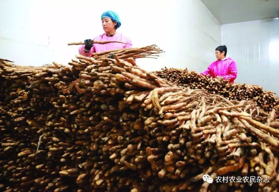 河南农产品电商平台_河南农业产品_河南农产品