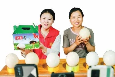 河南农产品_河南农产品品牌有哪些_河南农产品