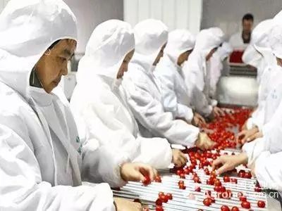 2017年农产品加工业政策解读：财政补贴、税收优惠等扶持措施详解
