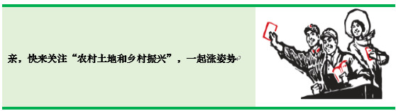 中国农产品加工业九大特征下仍有待解决的现存问题及发展建议