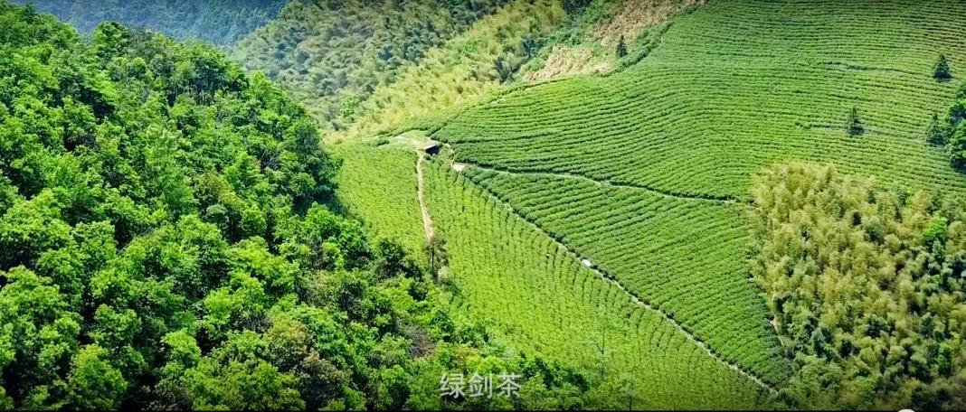 中国食品农产品认证信息网_农食产品认证标志含义_农产品认证证书