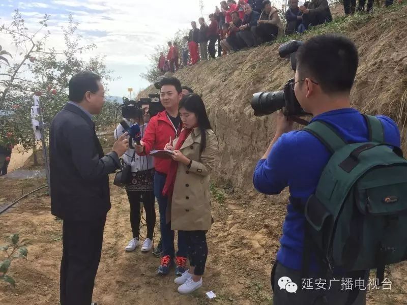 衍生农苹果产品有哪些_苹果的衍生农产品_农产品衍生品是什么