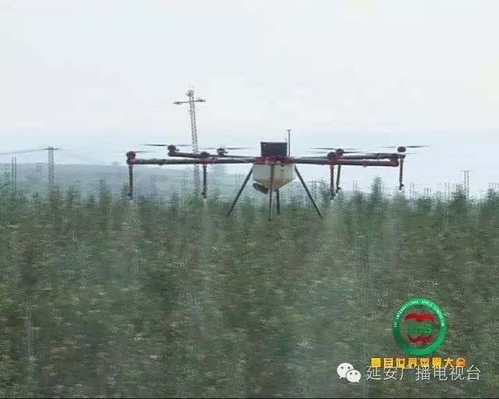 农产品衍生品是什么_苹果的衍生农产品_衍生农苹果产品有哪些