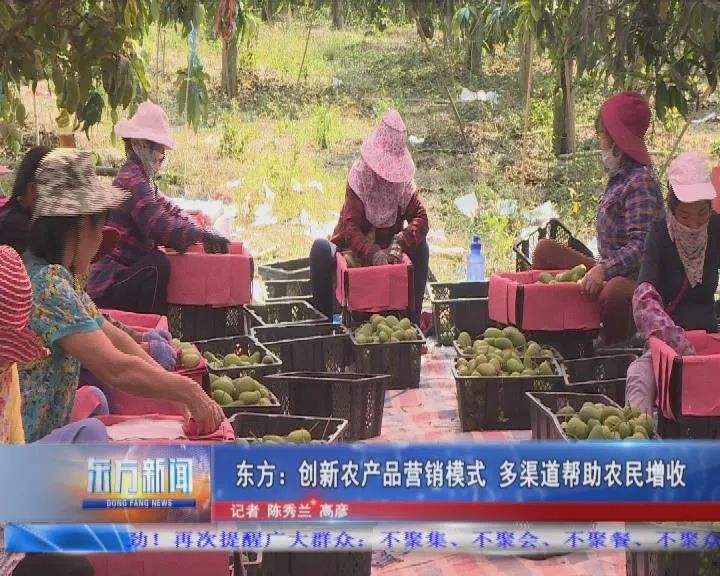 农产品营销新模式_农产品营销模式_农产品的营销模式