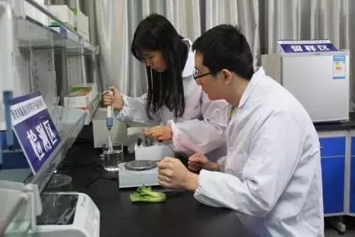 农产品安全质量_农产品质量安全包含的内容_农产品质量安全项目