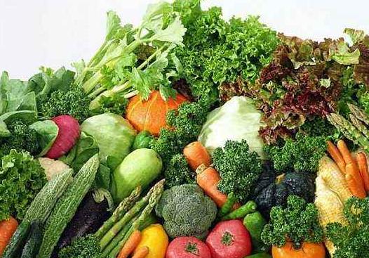 农产品质量安全政策_农产品安全质量_农产品质量安全书