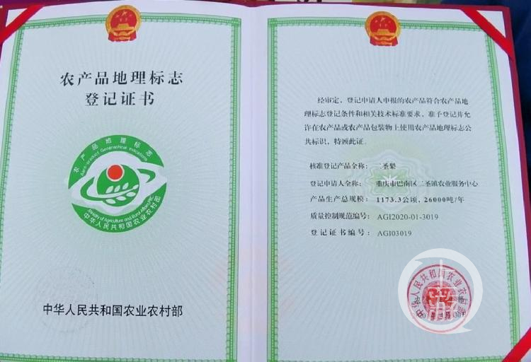 重庆市农产品质量安全中心主任_重庆农产品质量安全网_重庆市农产品质量安全中心