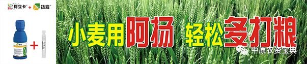 无公害农产品禁用农药公告_禁用农药农无公害产品有哪些_无公害农产品禁用农药