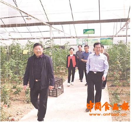 重庆市农产品质量安全中心电话_重庆市农产品质量安全中心_重庆市农产品质量安全中心主任