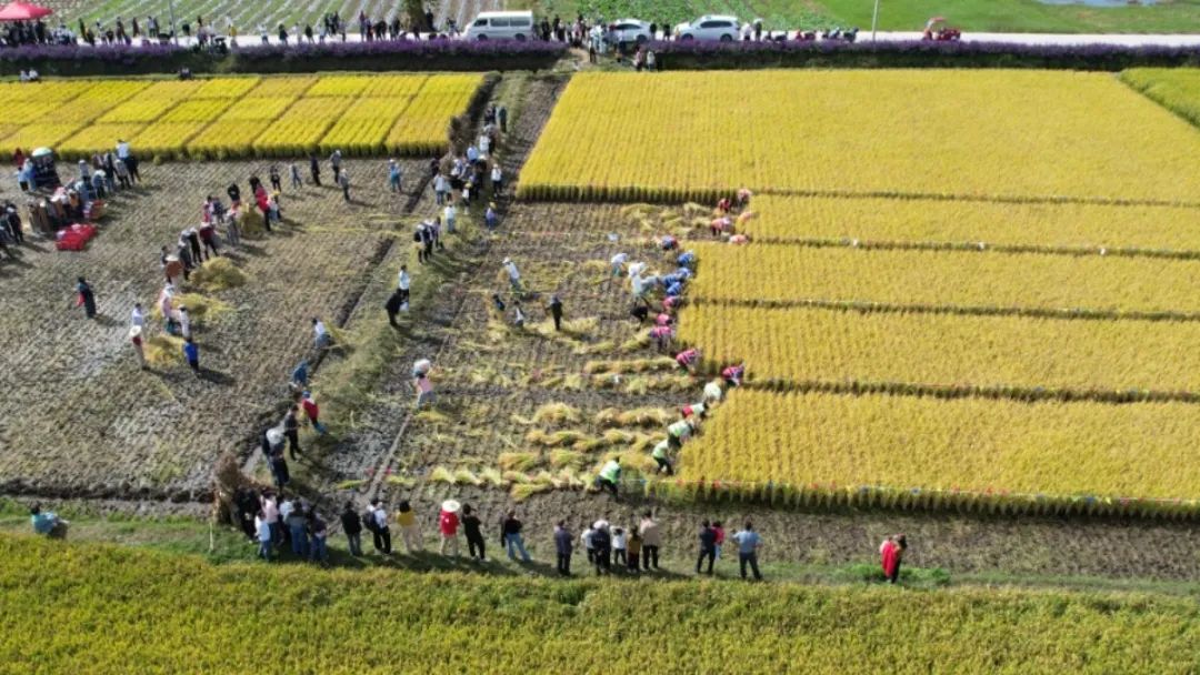 鲁甸县有几个农贸市场_鲁甸县农产品公司_鲁甸县农业投资开发有限公司