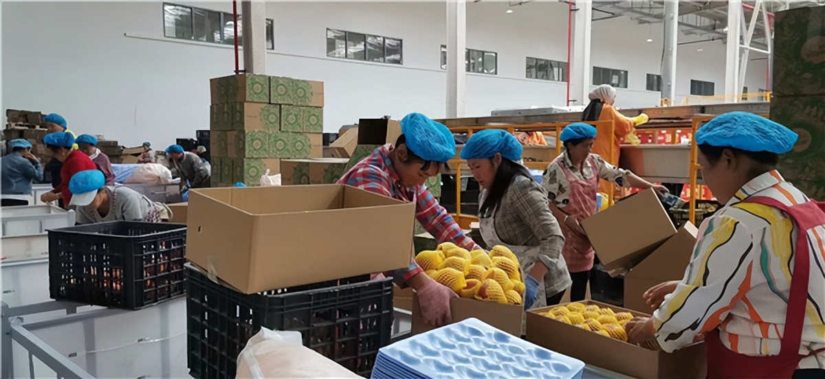 鲁甸县有几个农贸市场_鲁甸农村_鲁甸县农产品公司