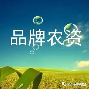 我国农产品品牌现状_农产品品牌现状_现代农产品的品牌构成部分