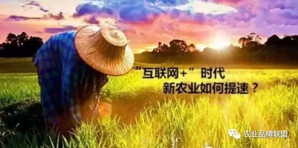 现代农产品的品牌构成部分_农产品品牌发展现状_农产品品牌现状