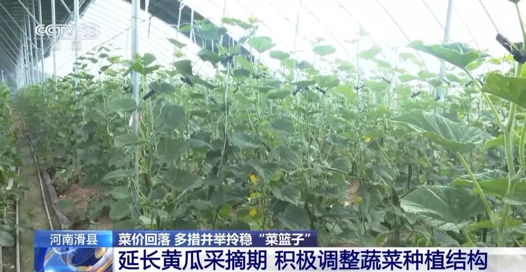 周谷堆农产品批发市场价格_周谷堆农产品批发市场_周谷堆批发市场几点下班