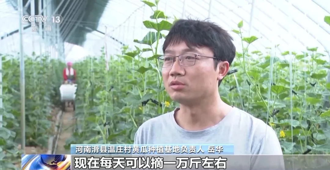 周谷堆农产品批发市场_周谷堆农产品批发市场价格_周谷堆批发市场几点下班