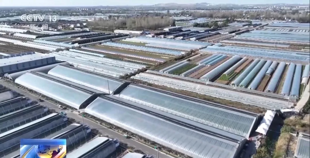 周谷堆农产品批发市场_周谷堆农产品批发市场价格_周谷堆批发市场几点下班