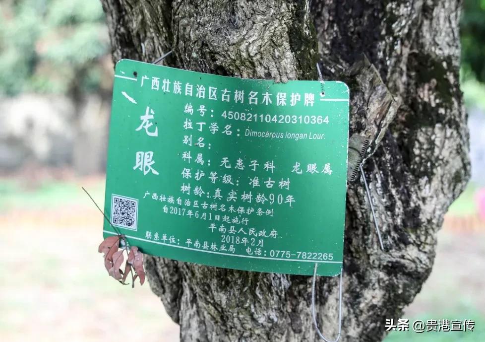 农作物富硒标准_农产品富硒标准_富硒农产品标志