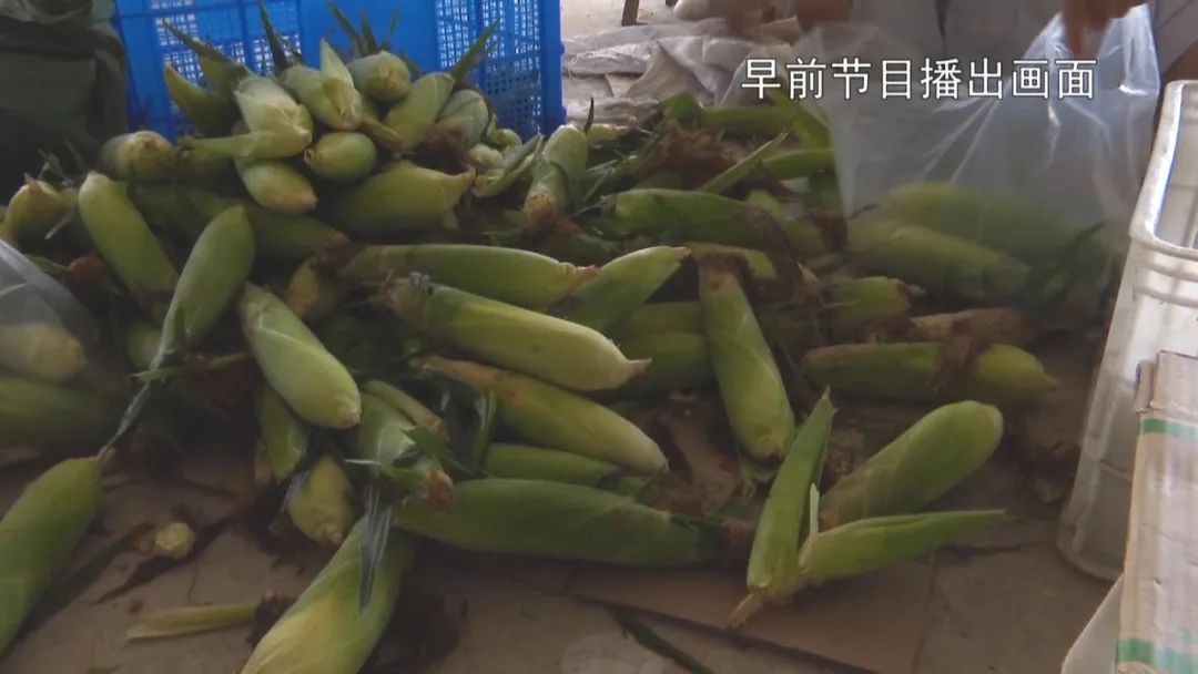 南京农副产品批发中心_南京农产品批发市场_南京农产品批发网