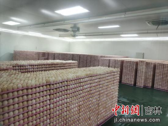 农产品加工厂房_农产品加工厂用地_农产品加工基地