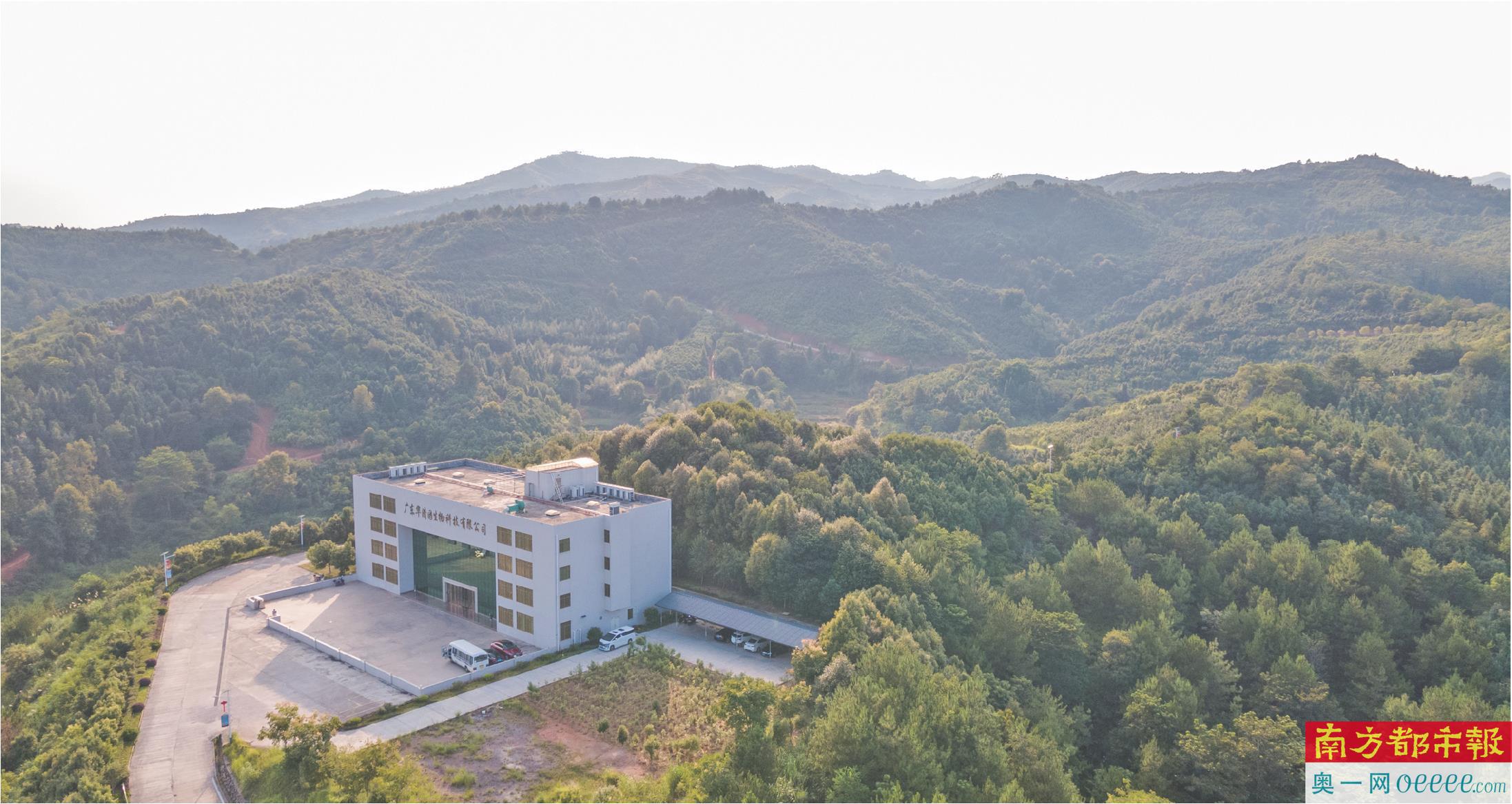 平远县南药产业园入选广东省级现代农业产业园，助力乡村振兴与特色产业发展
