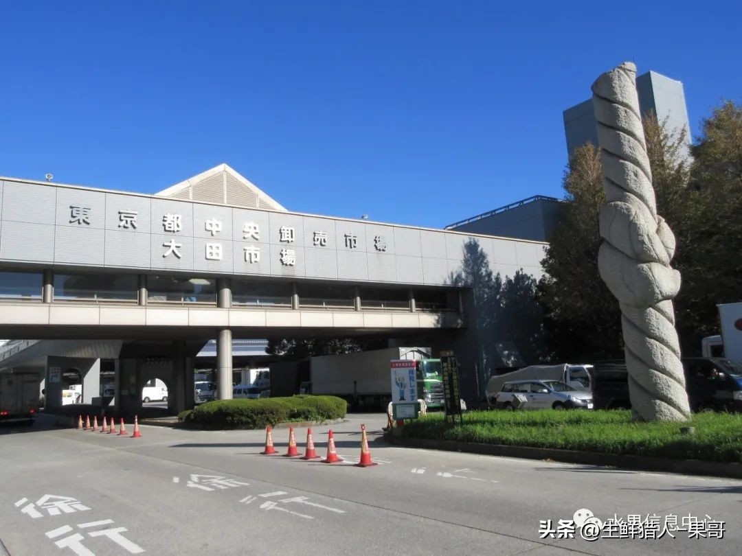 农业产品公司取名_农产品公司名字_做农产品公司名字