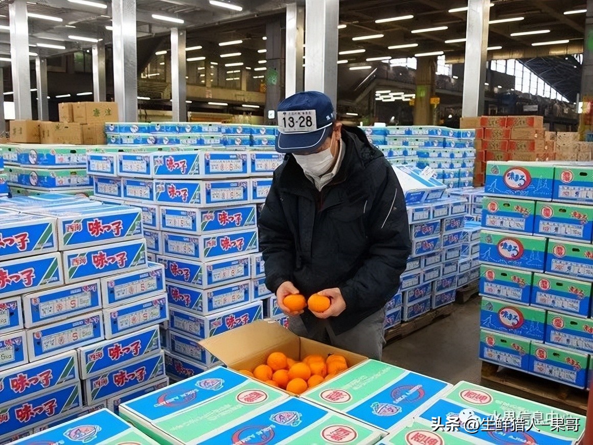 农业产品公司取名_农产品公司名字_做农产品公司名字