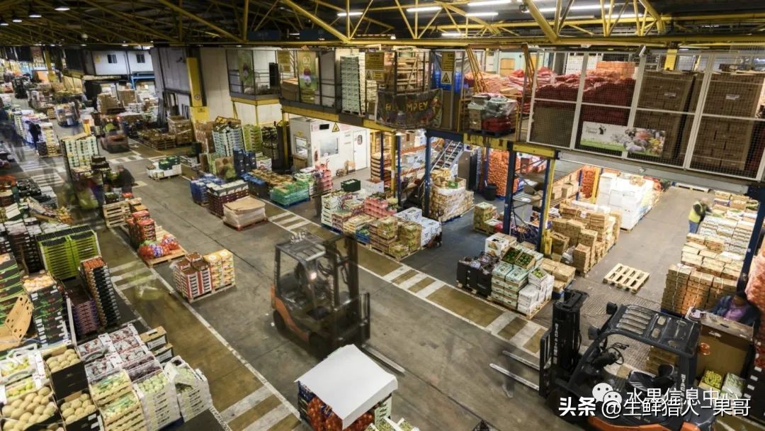 做农产品公司名字_农业产品公司取名_农产品公司名字