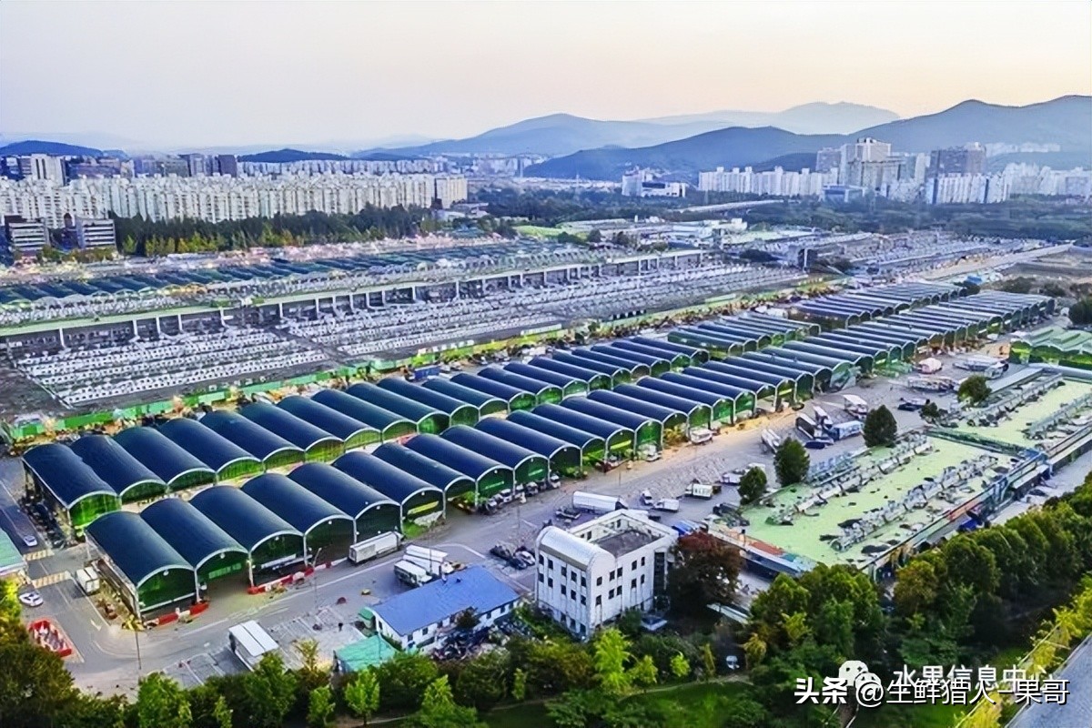 农业产品公司取名_农产品公司名字_做农产品公司名字