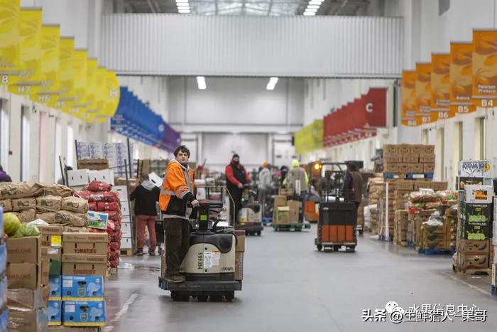 农业产品公司取名_做农产品公司名字_农产品公司名字
